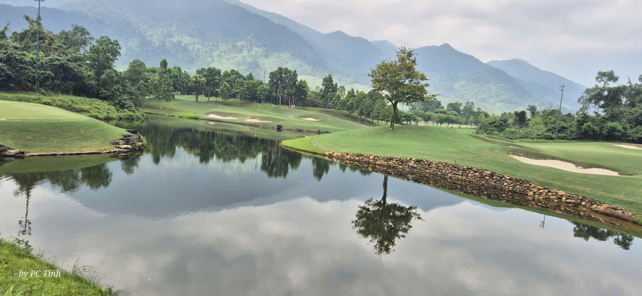 Tư vấn chọn mua vỏ xe sân golf chính hãng